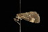  ( - DNA-ATBI-2618)  @13 [ ] CreativeCommons - Attribution (2010) Unspecified Centre for Biodiversity Genomics