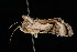 ( - DNA-ATBI-2657)  @12 [ ] CreativeCommons - Attribution (2010) Unspecified Centre for Biodiversity Genomics