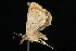  ( - DNA-ATBI-2660)  @12 [ ] CreativeCommons - Attribution (2010) Unspecified Centre for Biodiversity Genomics