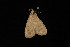  ( - DNA-ATBI-2883)  @12 [ ] CreativeCommons - Attribution (2010) Unspecified Centre for Biodiversity Genomics