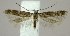  ( - DNA-ATBI-3187)  @14 [ ] Copyright (2007) Unspecified Canadian National Collection