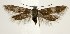  ( - DNA-ATBI-3384)  @13 [ ] Copyright (2007) Unspecified Canadian National Collection