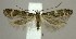  ( - DNA-ATBI-3387)  @13 [ ] Copyright (2007) Unspecified Canadian National Collection