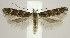  ( - DNA-ATBI-3395)  @13 [ ] Copyright (2007) Unspecified Canadian National Collection