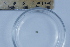  ( - BIOUG-48552-A10)  @11 [ ] Creative Commons - Attribution Non-Commercial Share-Alike  (2021) Jessica Schultz University of Guelph