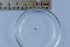  ( - BIOUG-48552-A11)  @11 [ ] Creative Commons - Attribution Non-Commercial Share-Alike  (2021) Jessica Schultz University of Guelph