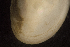  ( - BIOUG-48552-A12)  @11 [ ] Creative Commons - Attribution Non-Commercial Share-Alike  (2021) Jessica Schultz University of Guelph
