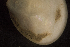  ( - BIOUG-48552-B01)  @11 [ ] Creative Commons - Attribution Non-Commercial Share-Alike  (2021) Jessica Schultz University of Guelph