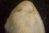  ( - BIOUG-48552-B01)  @11 [ ] Creative Commons - Attribution Non-Commercial Share-Alike  (2021) Jessica Schultz University of Guelph