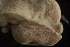  ( - BIOUG-48552-C04)  @11 [ ] Creative Commons - Attribution Non-Commercial Share-Alike  (2021) Jessica Schultz University of Guelph