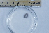  ( - BIOUG-48552-C04)  @11 [ ] Creative Commons - Attribution Non-Commercial Share-Alike  (2021) Jessica Schultz University of Guelph