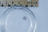  ( - BIOUG-48552-C05)  @11 [ ] Creative Commons - Attribution Non-Commercial Share-Alike  (2021) Jessica Schultz University of Guelph