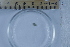  ( - BIOUG-48552-D05)  @11 [ ] Creative Commons - Attribution Non-Commercial Share-Alike  (2021) Jessica Schultz University of Guelph