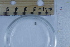  ( - BIOUG-48552-D07)  @11 [ ] Creative Commons - Attribution Non-Commercial Share-Alike  (2021) Jessica Schultz University of Guelph