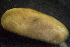  ( - BIOUG-48552-D10)  @11 [ ] Creative Commons - Attribution Non-Commercial Share-Alike  (2021) Jessica Schultz University of Guelph