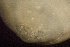  ( - BIOUG-48552-E01)  @11 [ ] Creative Commons - Attribution Non-Commercial Share-Alike  (2021) Jessica Schultz University of Guelph