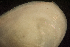  ( - BIOUG-48552-E02)  @11 [ ] Creative Commons - Attribution Non-Commercial Share-Alike  (2021) Jessica Schultz University of Guelph