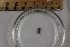  ( - BIOUG-48552-E04)  @11 [ ] Creative Commons - Attribution Non-Commercial Share-Alike  (2021) Jessica Schultz University of Guelph
