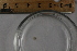  ( - BIOUG-48552-E06)  @11 [ ] Creative Commons - Attribution Non-Commercial Share-Alike  (2021) Jessica Schultz University of Guelph