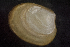  ( - BIOUG-48552-E08)  @11 [ ] Creative Commons - Attribution Non-Commercial Share-Alike  (2021) Jessica Schultz University of Guelph