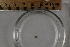  ( - BIOUG-48552-E08)  @11 [ ] Creative Commons - Attribution Non-Commercial Share-Alike  (2021) Jessica Schultz University of Guelph