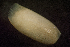  ( - BIOUG-48552-G11)  @11 [ ] Creative Commons - Attribution Non-Commercial Share-Alike  (2021) Jessica Schultz University of Guelph