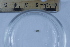  ( - BIOUG-48552-G11)  @11 [ ] Creative Commons - Attribution Non-Commercial Share-Alike  (2021) Jessica Schultz University of Guelph