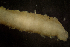 ( - BIOUG-48553-B01)  @11 [ ] Creative Commons - Attribution Non-Commercial Share-Alike  (2021) Jessica Schultz University of Guelph