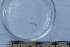  ( - BIOUG-48553-C02)  @11 [ ] Creative Commons - Attribution Non-Commercial Share-Alike  (2021) Jessica Schultz University of Guelph