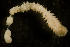  ( - BIOUG-48553-C04)  @11 [ ] Creative Commons - Attribution Non-Commercial Share-Alike  (2021) Jessica Schultz University of Guelph