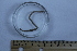  ( - BIOUG-48553-E11)  @11 [ ] Creative Commons - Attribution Non-Commercial Share-Alike  (2021) Jessica Schultz University of Guelph