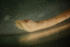  ( - BIOUG-48553-E11)  @11 [ ] Creative Commons - Attribution Non-Commercial Share-Alike  (2021) Jessica Schultz University of Guelph