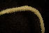  ( - BIOUG-48553-G01)  @11 [ ] Creative Commons - Attribution Non-Commercial Share-Alike  (2021) Jessica Schultz University of Guelph