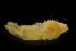 ( - BIOUG-48554-B02)  @11 [ ] Creative Commons - Attribution Non-Commercial Share-Alike  (2021) Jessica Schultz University of Guelph
