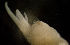  ( - BIOUG-48554-F04)  @11 [ ] Creative Commons - Attribution Non-Commercial Share-Alike  (2021) Jessica Schultz University of Guelph