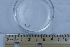  ( - BIOUG-48554-F09)  @11 [ ] Creative Commons - Attribution Non-Commercial Share-Alike  (2021) Jessica Schultz University of Guelph