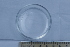  ( - BIOUG-48554-F10)  @11 [ ] Creative Commons - Attribution Non-Commercial Share-Alike  (2021) Jessica Schultz University of Guelph