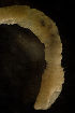  ( - BIOUG-48554-F10)  @11 [ ] Creative Commons - Attribution Non-Commercial Share-Alike  (2021) Jessica Schultz University of Guelph