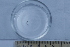  ( - BIOUG-48554-G01)  @11 [ ] Creative Commons - Attribution Non-Commercial Share-Alike  (2021) Jessica Schultz University of Guelph