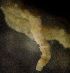  ( - BIOUG-48554-G01)  @11 [ ] Creative Commons - Attribution Non-Commercial Share-Alike  (2021) Jessica Schultz University of Guelph