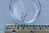  ( - BIOUG-48554-H04)  @11 [ ] Creative Commons - Attribution Non-Commercial Share-Alike  (2021) Jessica Schultz University of Guelph