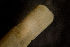  ( - BIOUG-48554-H04)  @11 [ ] Creative Commons - Attribution Non-Commercial Share-Alike  (2021) Jessica Schultz University of Guelph