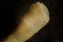  ( - BIOUG-48554-H05)  @11 [ ] Creative Commons - Attribution Non-Commercial Share-Alike  (2021) Jessica Schultz University of Guelph