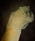  ( - BIOUG-48554-H06)  @11 [ ] Creative Commons - Attribution Non-Commercial Share-Alike  (2021) Jessica Schultz University of Guelph