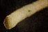  ( - BIOUG-48554-H06)  @11 [ ] Creative Commons - Attribution Non-Commercial Share-Alike  (2021) Jessica Schultz University of Guelph