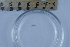  ( - CCDB-31224-B04)  @11 [ ] Creative Commons - Attribution Non-Commercial Share-Alike  (2021) Jessica Schultz University of Guelph