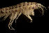  ( - CCDB-31224-B05)  @11 [ ] Creative Commons - Attribution Non-Commercial Share-Alike  (2021) Jessica Schultz University of Guelph