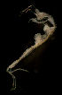  ( - CCDB-31224-C05)  @11 [ ] Creative Commons - Attribution Non-Commercial Share-Alike  (2021) Jessica Schultz University of Guelph