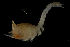  ( - CCDB-31224-C11)  @11 [ ] Creative Commons - Attribution Non-Commercial Share-Alike  (2021) Jessica Schultz University of Guelph