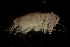  ( - CCDB-31224-D10)  @11 [ ] Creative Commons - Attribution Non-Commercial Share-Alike  (2021) Jessica Schultz University of Guelph